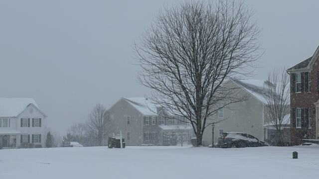 Slide 
													
													21