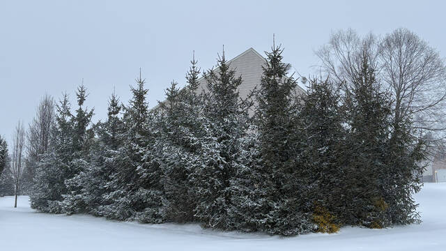 Slide 
													
													23