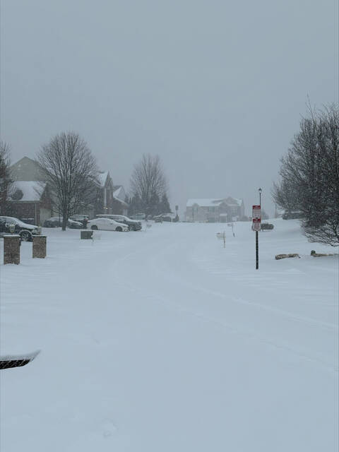 Slide 
													
													25