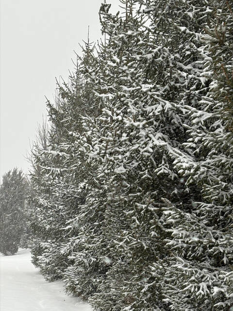 Slide 
													
													27