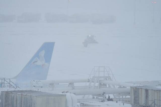 Slide 
													
													5