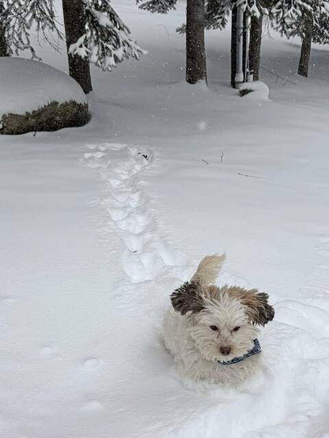 Slide 
													
													2