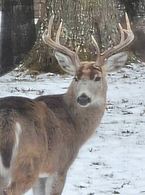 Slide 
													
													4