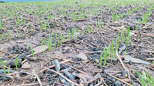 Slide 
													
													6