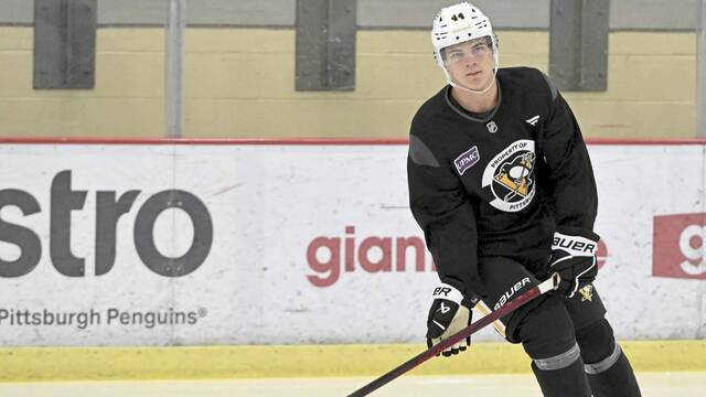 Penguins forward prospect Melvin Fernstrom  ‘called back’ following struggles in Sweden