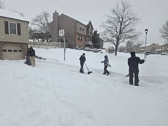 Local Cub Scouts find entrepreneurship during snowfall