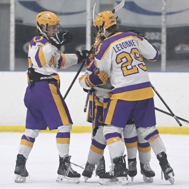 Plum hockey team riding high as regular season winds down
