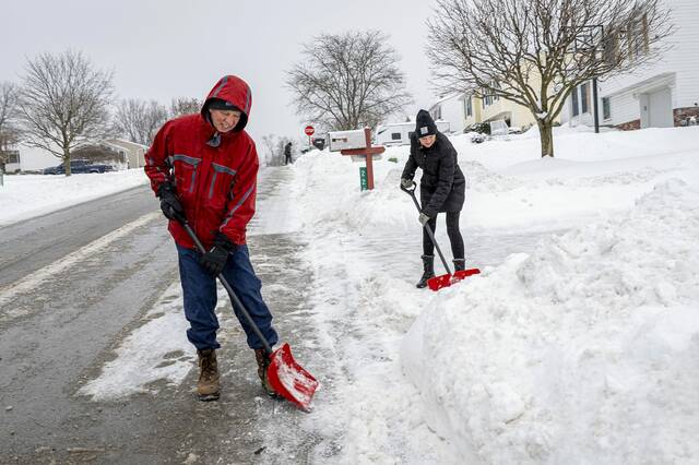 Slide 
													
													14