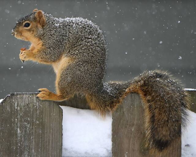 Slide 
													
													15