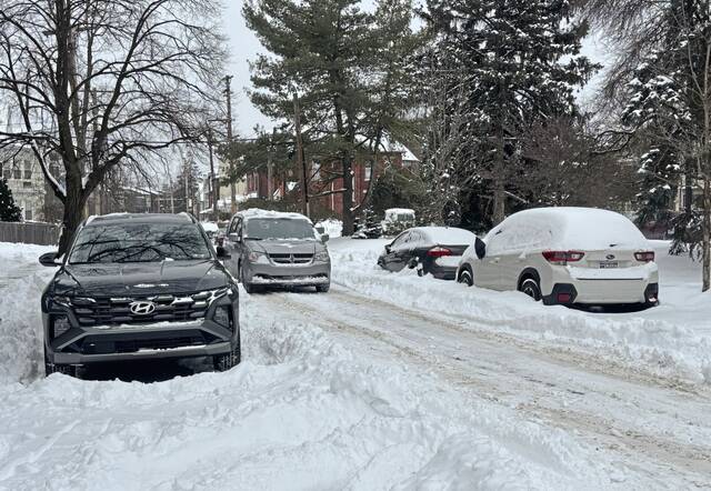 Slide 
													
													11