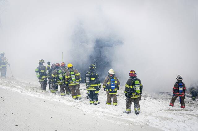 Slide 
													
													11