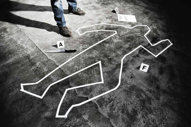 The Stroller, Jan. 30, 2026: Events in the Alle-Kiski Valley