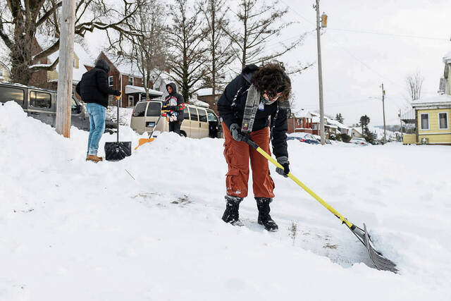 Slide 
													
													3