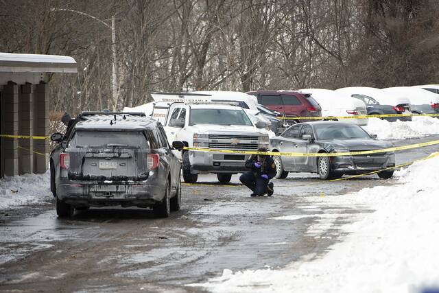 Slide 
													
													2