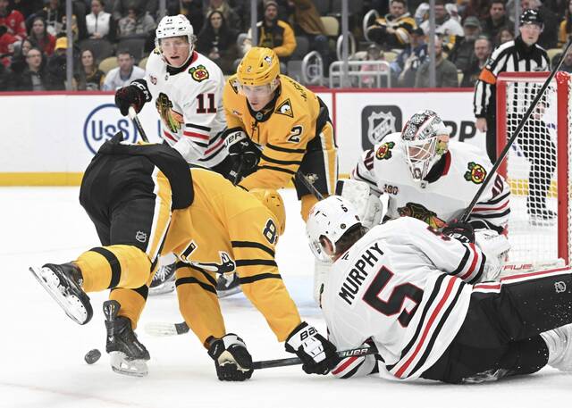 Slide 
													
													3