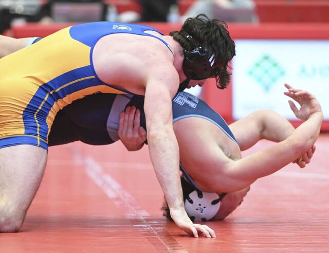 Derry upends defending champ Burrell in Class 2A to claim 1st WPIAL team wrestling title
