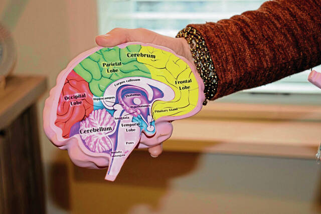 Slide 
													
													2