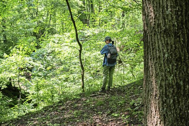 Allegheny Land Trust nears goal to conserve 30 acres in Collier for park expansion