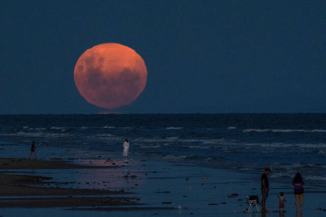 Slide 
													
													7