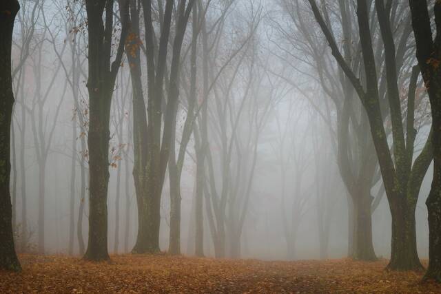 Slide 
													
													3