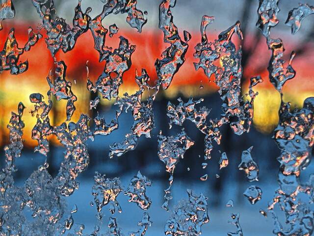 Slide 
													
													11