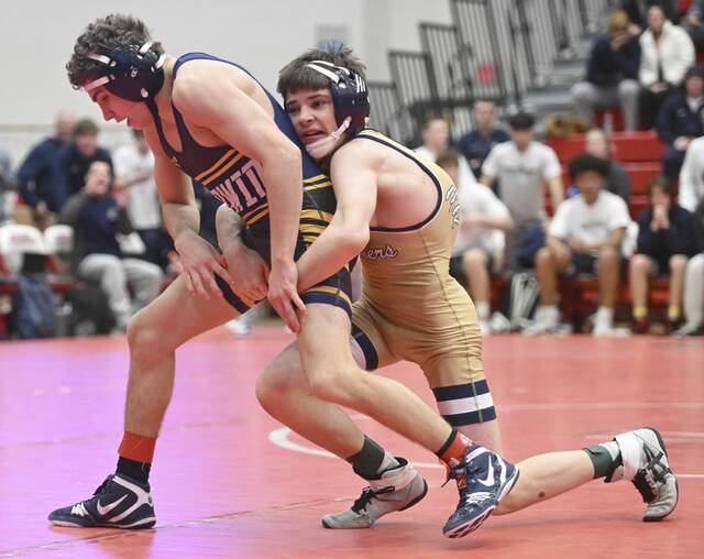 Team effort guides WPIAL wrestling teams into PIAA tournament