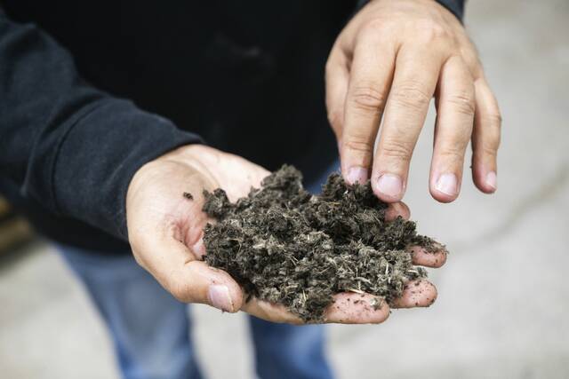 For peat’s sake: Persian Gulf sheikh explores deal with Ambridge maker of artificial peat moss