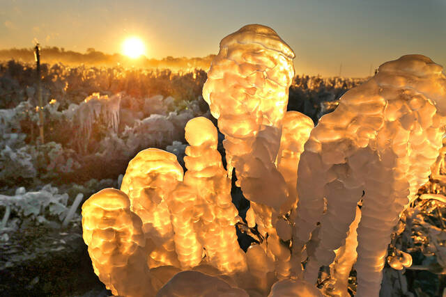 Slide 
													
													3