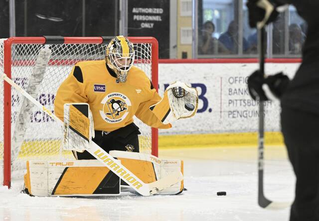 Penguins waive goaltender Filip Larsson for contract termination