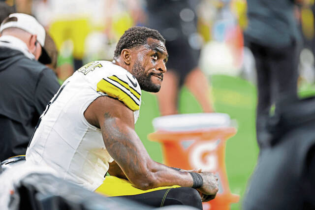 Detroit Lions fan files $100 million lawsuit against Steelers’ DK Metcalf and others