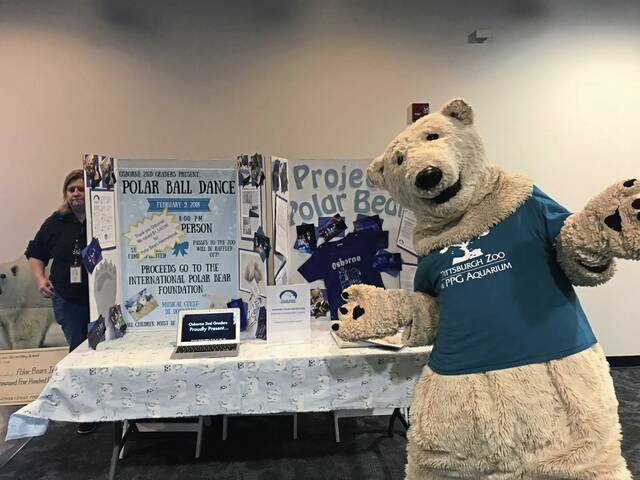 Slide 
													
													3