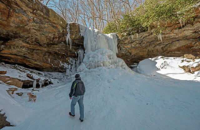 Slide 
													
													3