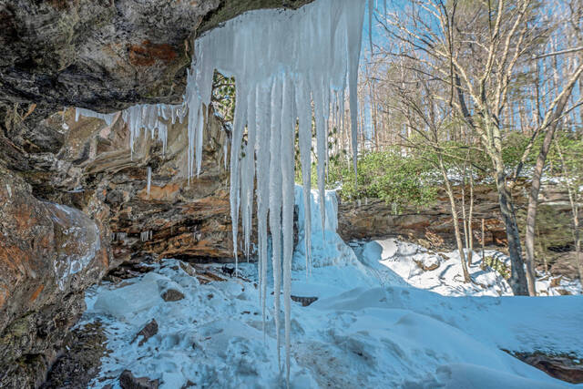 Slide 
													
													7