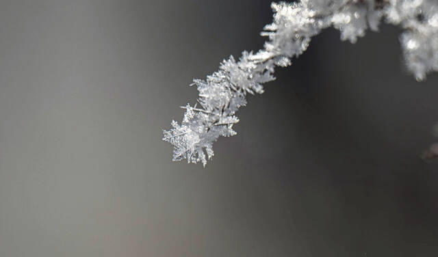 Slide 
													
													12