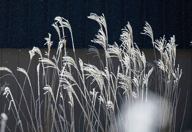 Slide 
													
													13