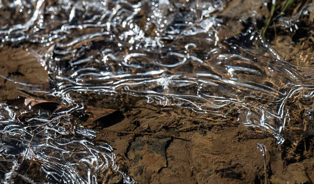 Slide 
													
													10