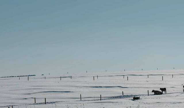 Slide 
													
													11