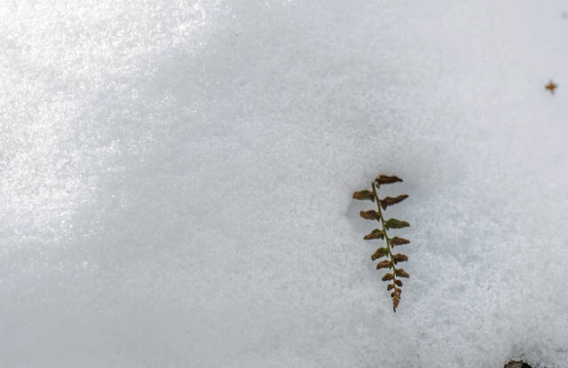 Slide 
													
													15