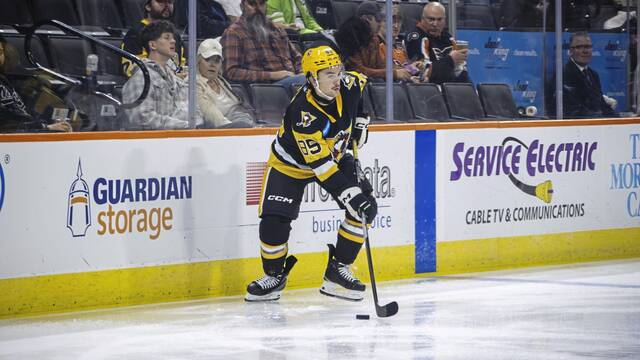 Penguins assign forwards Avery Hayes, Rutger McGroarty to Wilkes-Barre/Scranton