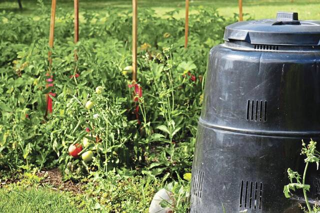 The Stroller, Feb. 10, 2026: Events in the Alle-Kiski Valley