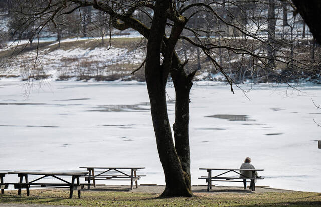 Slide 
													
													3