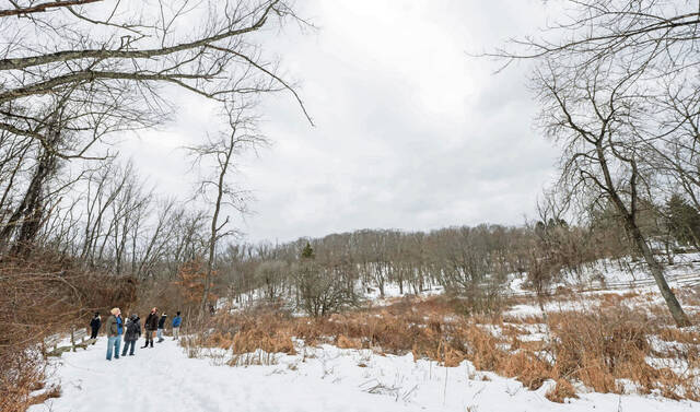 Slide 
													
													4