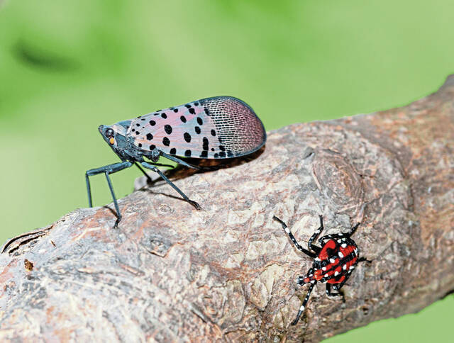 Slide 
													
													2