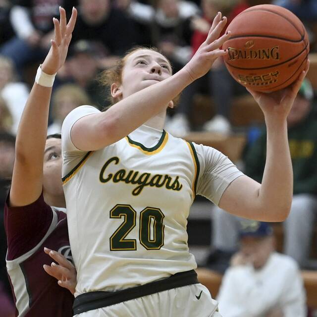 For WPIAL basketball committee, top seeds weren’t easy decisions