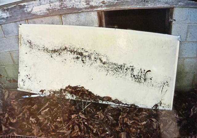 Slide 
													
													3