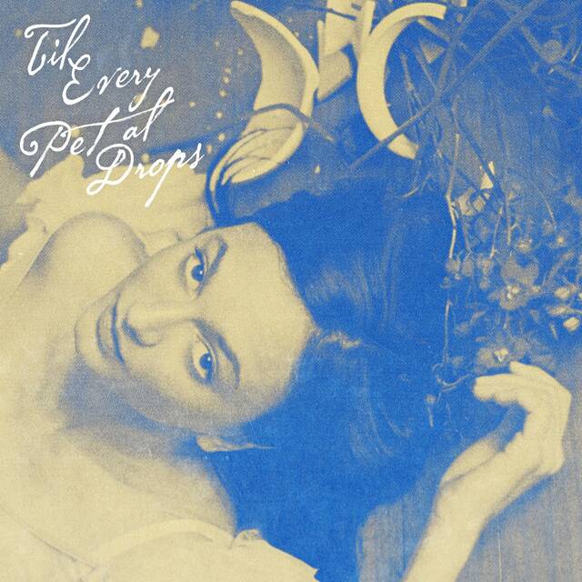 Slide 
													
													3