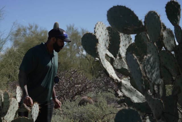 
			
				                                Law enforcement agents check vegetation areas around Nancy Guthries home in Tucson, Ariz., Wednesday, Feb. 11, 2026. (AP)

			
		