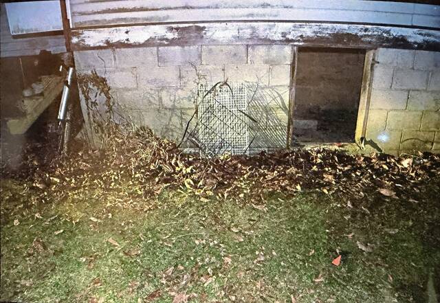 Slide 
													
													3