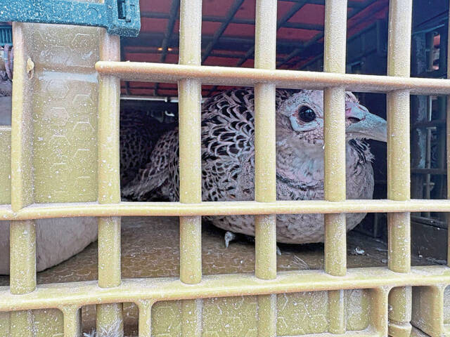 Slide 
													
													3