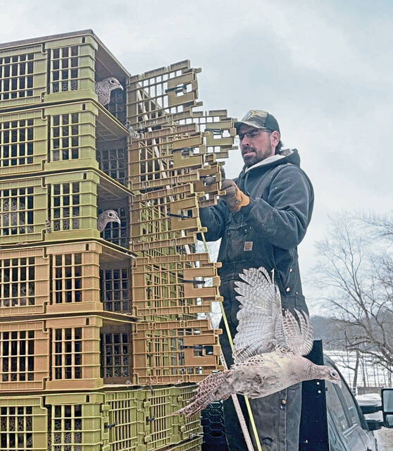 Slide 
													
													8